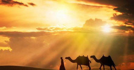 30-Day Uae Tourist Visa Dubai TMLH.com Special Offers, Deals & Discounts in Turkey