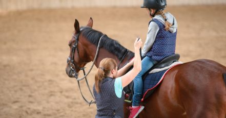 45-Minute Horse Riding Lessons At Al Sultan Equestrian Club Abu Dhabi TMLH.com Special Offers, Deals & Discounts in Turkey
