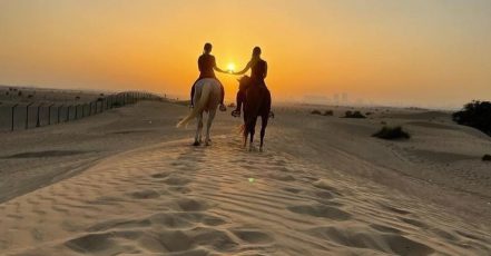 45-Minute To 60-Minute Private Horse Riding Lesson At Jsr Stables Dubai TMLH.com Special Offers, Deals & Discounts in Turkey