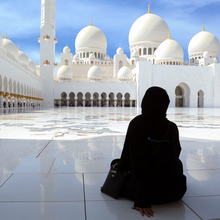 Abu Dhabi Private City Tour from Dubai with Transfers – Sightseeing and Tours TMLH.com Special Offers, Deals & Discounts in Turkey