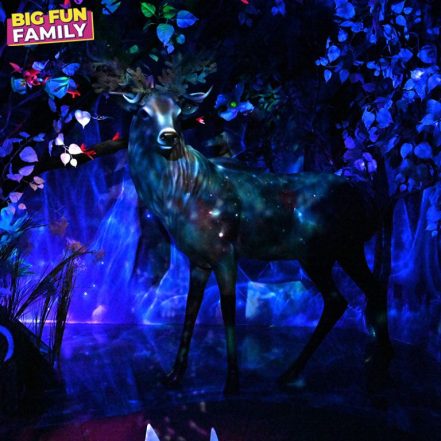 Big Fun Museum – Top-Rated Attractions TMLH.com Special Offers, Deals & Discounts in Turkey