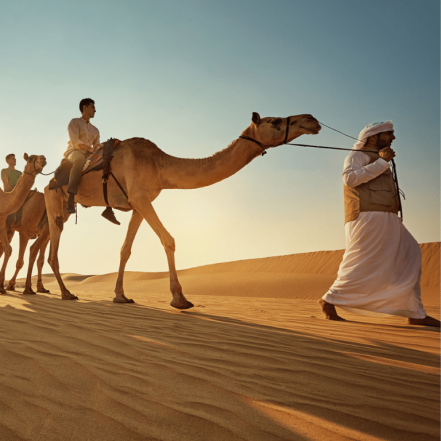 Camel Trekking Experience In Abu Dhabi With Transfers In Land Cruiser – Top-Rated Attractions TMLH.com Special Offers, Deals & Discounts in Turkey