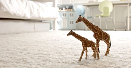 Carpet Cleaning Dubai TMLH.com Special Offers, Deals & Discounts in Turkey