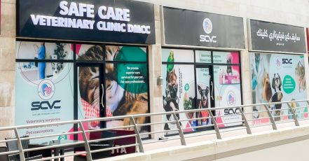 Cat And Dog Check Up And Vaccinations Dubai TMLH.com Special Offers, Deals & Discounts in Turkey