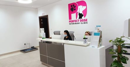 Cat Or Dog Annual Vaccination At Perfect Dose Veterinary Clinic Dubai TMLH.com Special Offers, Deals & Discounts in Turkey
