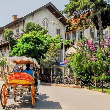 Daily Princes’ Islands Tour: Full-Day Trip in Istanbul – Sightseeing and Tours TMLH.com Special Offers, Deals & Discounts in Turkey