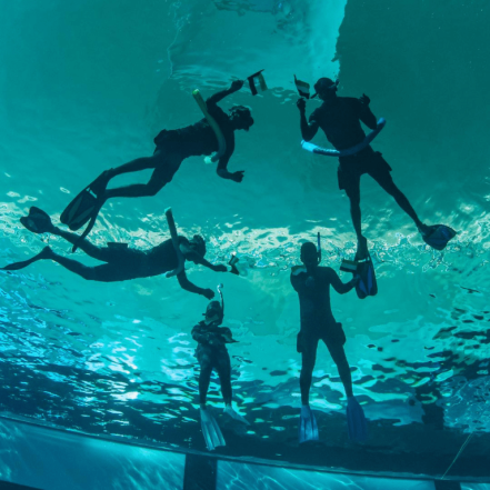 Deep Dive Dubai Surface Snorkeling Experience – Water Sports TMLH.com Special Offers, Deals & Discounts in Turkey