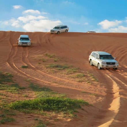 Desert Safari in RAK: Dune Bashing, Sand Boarding and a Camel Ride – Desert safaris TMLH.com Special Offers, Deals & Discounts in Turkey