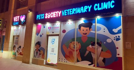 Discover Annual Vaccination, Deworming, Check-Up & More For Pets Dubai TMLH.com Special Offers, Deals & Discounts in Turkey