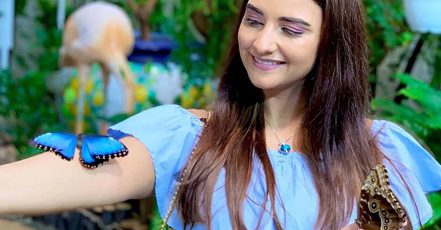 Discover Vibrant Colors W/ Dubai Butterfly Garden Pass:1, 2,/ 4 Adults Dubai TMLH.com Special Offers, Deals & Discounts in Turkey
