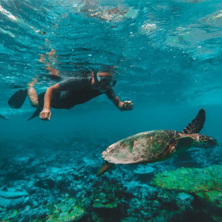 Dive & Snorkel Trips in Fujairah – Water Sports TMLH.com Special Offers, Deals & Discounts in Turkey
