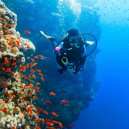 Diving Experience in Khasab – Outdoor Attractions TMLH.com Special Offers, Deals & Discounts in Turkey