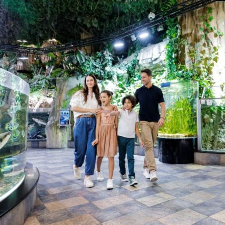 Dubai Aquarium & Underwater Zoo – Ultimate Experience – Experiences TMLH.com Special Offers, Deals & Discounts in Turkey