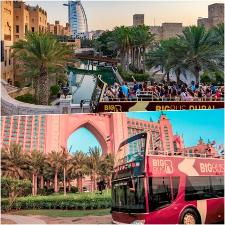 Dubai Hop On Hop Off Tour by Big Bus Tours – Sightseeing and Tours TMLH.com Special Offers, Deals & Discounts in Turkey