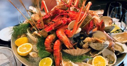Enjoy 5* International, Italian, Mediterranean, Or Seafood Theme Night Dubai TMLH.com Special Offers, Deals & Discounts in Turkey