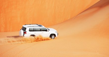 Enjoy A Vip Desert Safari Including Dune Bashing And Camel Ride! Sharjah & N. Emirates TMLH.com Special Offers, Deals & Discounts in Turkey