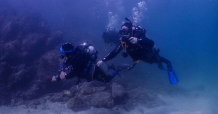 Experience Scuba Diving With Pool And Beach Dives! Dubai TMLH.com Special Offers, Deals & Discounts in Turkey