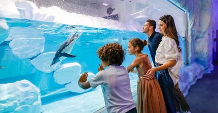 Explore Dubai Aquarium With Frame, Glow Garden, Aya Universe & More! Dubai TMLH.com Special Offers, Deals & Discounts in Turkey