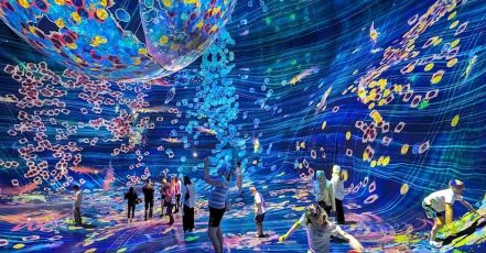 Explore Teamlab Phenomena General Admission For Adults And Youths Abu Dhabi TMLH.com Special Offers, Deals & Discounts in Turkey