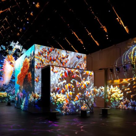 Fabrique des Lumières: The Sea – Recently Added Experiences TMLH.com Special Offers, Deals & Discounts in Turkey