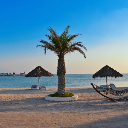 Family Private Boat Tour to Al Dar Island – Top-Rated Attractions TMLH.com Special Offers, Deals & Discounts in Turkey