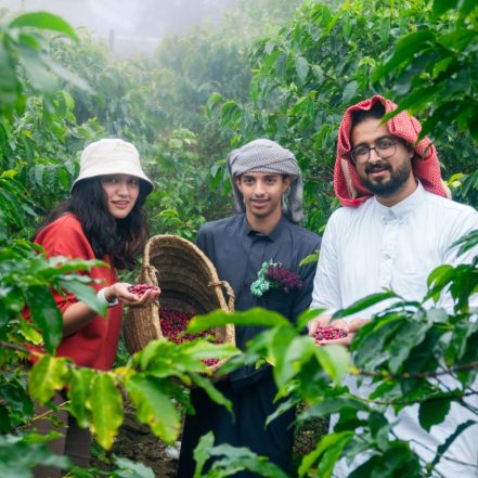 From Arabica to Arabian – Coffee Experience at a local farm – Recently Added Experiences TMLH.com Special Offers, Deals & Discounts in Turkey