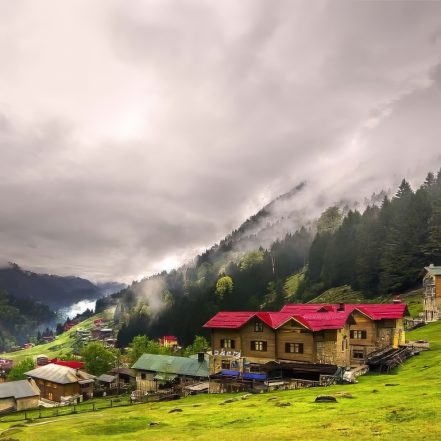 Full Day Ayder Tour From Trabzon – Sightseeing and Tours TMLH.com Special Offers, Deals & Discounts in Turkey