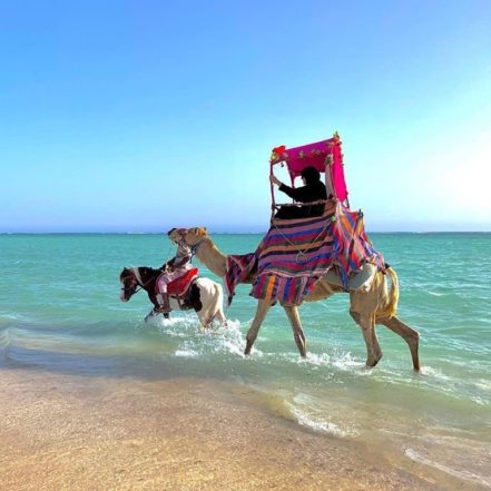 Full Day Obhur & Beach Tour With Transfers – Recently Added Experiences TMLH.com Special Offers, Deals & Discounts in Turkey