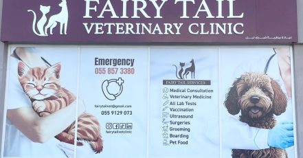 Grooming For Medium Dogs, Large Dogs, And Cats/Small Dogs Dubai TMLH.com Special Offers, Deals & Discounts in Turkey