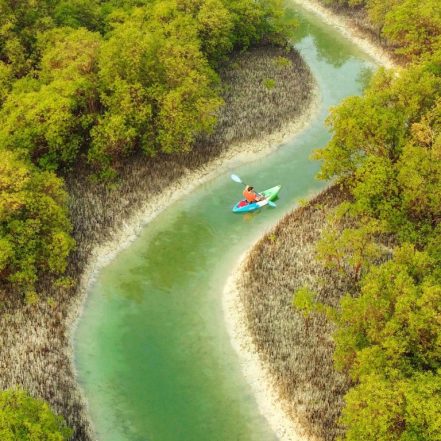 Guided Kayak Tour in the Reem Central Park Mangroves – Water Sports TMLH.com Special Offers, Deals & Discounts in Turkey
