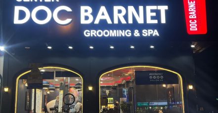 Haircut Sharjah & N. Emirates TMLH.com Special Offers, Deals & Discounts in Turkey