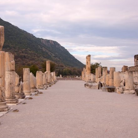 Half Day Ephesus Tour – Sightseeing and Tours TMLH.com Special Offers, Deals & Discounts in Turkey
