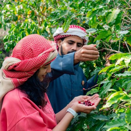 Hike with a local coffee farmer – Recently Added Experiences TMLH.com Special Offers, Deals & Discounts in Turkey