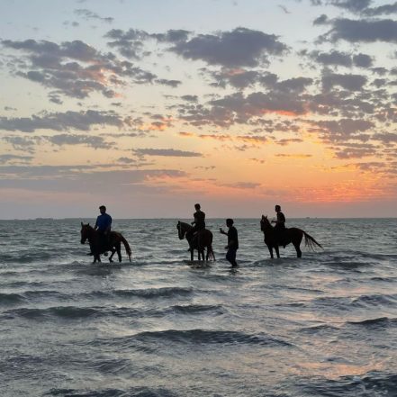 Horse Riding in Jeddah – Experiences TMLH.com Special Offers, Deals & Discounts in Turkey