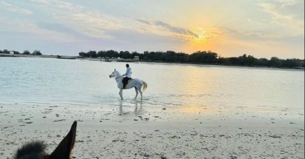 Horseback Riding By The Beach Dubai TMLH.com Special Offers, Deals & Discounts in Turkey
