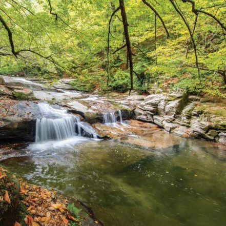 Istanbul: Day Trip to Scenic Sapanca, Masukiye and Kartepe – Recently Added Experiences TMLH.com Special Offers, Deals & Discounts in Turkey
