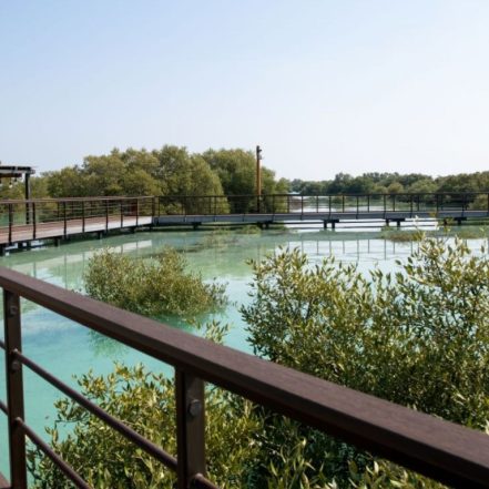 Jubail Mangrove Park – Boardwalk Experience – Recently Added Experiences TMLH.com Special Offers, Deals & Discounts in Turkey
