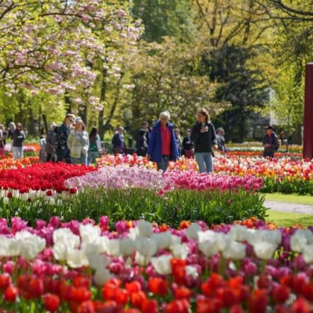 Keukenhof Gardens with transport – Recently Added Experiences TMLH.com Special Offers, Deals & Discounts in Turkey