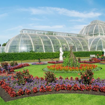 Kew Gardens Entry Ticket – Recently Added Experiences TMLH.com Special Offers, Deals & Discounts in Turkey