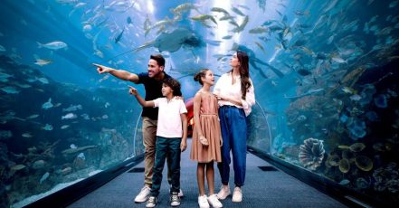 Marine Magic Awaits: Dubai Aquarium & Penguin Cove For 1, 2, Or 4! Dubai TMLH.com Special Offers, Deals & Discounts in Turkey