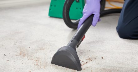 Mattress, Carpet Or Sofa Cleaning Dubai TMLH.com Special Offers, Deals & Discounts in Turkey