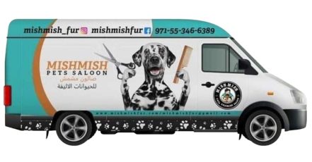 Mobile Pet Grooming For Cats And Dogs Of All Sizes With Full Or Basic Dubai TMLH.com Special Offers, Deals & Discounts in Turkey