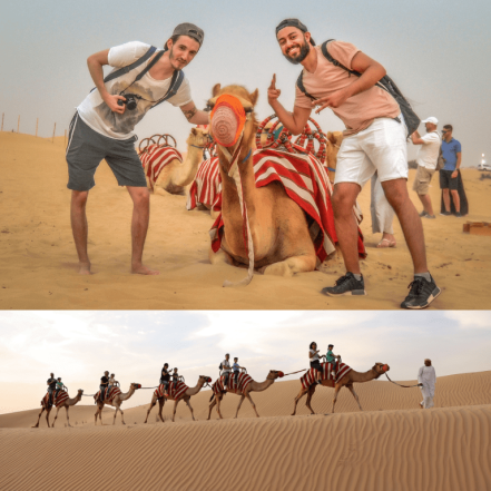 Morning Desert Safari Dubai with Dune Bashing, Sand Boarding & Camel Ride – Desert safaris TMLH.com Special Offers, Deals & Discounts in Turkey