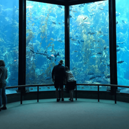 Oman Aquarium – Experiences TMLH.com Special Offers, Deals & Discounts in Turkey