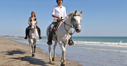 One Hour Beach Horse Riding Experiences At Al Sultan Equestrian Club Abu Dhabi TMLH.com Special Offers, Deals & Discounts in Turkey