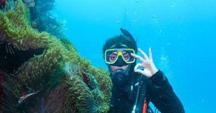 Open Water Scuba Diver Course At Goblin Diving Center Dubai TMLH.com Special Offers, Deals & Discounts in Turkey