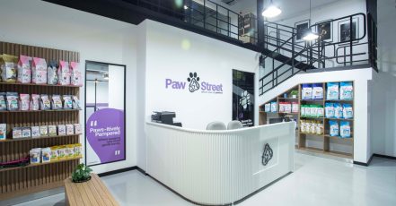 Pamper Your Pet Basic Or Full Grooming For Small To Xl Dogs Or Cats Dubai TMLH.com Special Offers, Deals & Discounts in Turkey