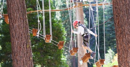 Personalized Obstacle Course Skills Training For Kids & Adults Dubai TMLH.com Special Offers, Deals & Discounts in Turkey