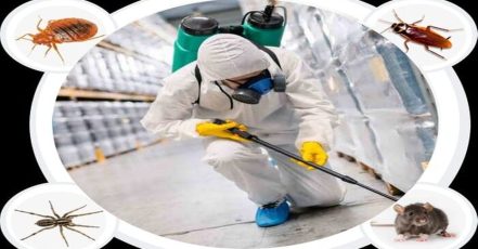 Pest Control Service – General Dubai TMLH.com Special Offers, Deals & Discounts in Turkey
