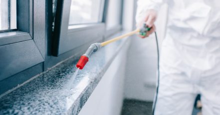 Pest Control Service – Rodent Dubai TMLH.com Special Offers, Deals & Discounts in Turkey